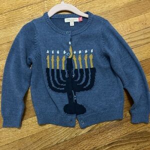 Pink Chicken Cardigan with Menorah